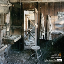 Beauty among the Ruins