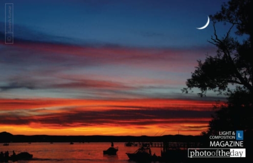 Transition, by Sukesh Kumar - Artistic Photography, Photo of the Day, Photography Awards,  Online Photography Courses, Light & Composition University