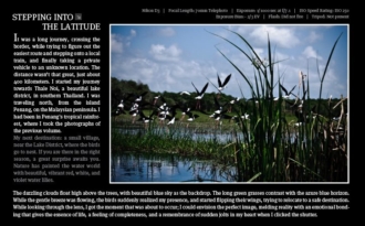 Illuminating Nature Volume Two - Wildlife Photography, Photojournalism, Nature Photography, Illuminating Nature,  Art Photography