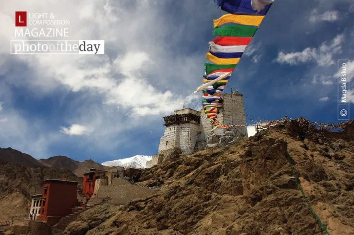 Leh Palace by Magda Biskup