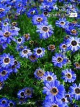 Valley of Haven by Tathagata Das