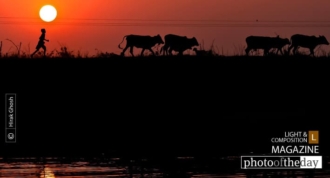 I Am Going Home by Hirak Ghosh