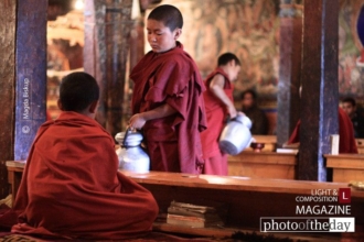 Young Monks by Magda Biskup