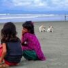 Little Guardians of the Green Fields by Shahnaz Parvin
