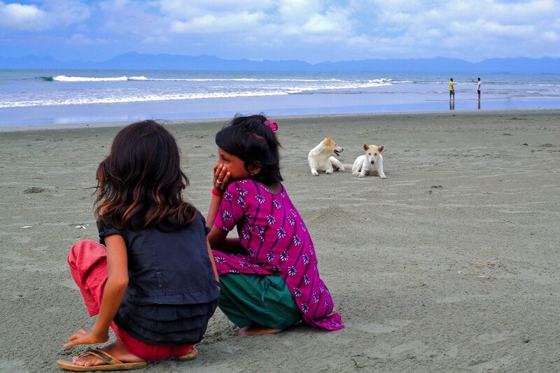 Little Guardians of the Green Fields by Shahnaz Parvin