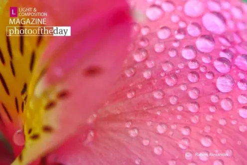 Photo of the Month — July 2011