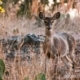 Photo of the day 21072011