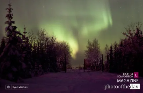 Aurora Borealis, by Ryan Marquis - Aurora Borealis, Night Photography, Astrophotography, Landscape Photography, Photo of the Day