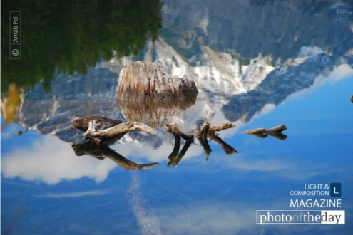 Deceiving by Arnab Pal