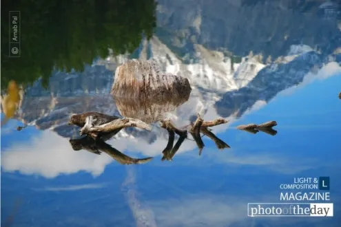 Deceiving by Arnab Pal