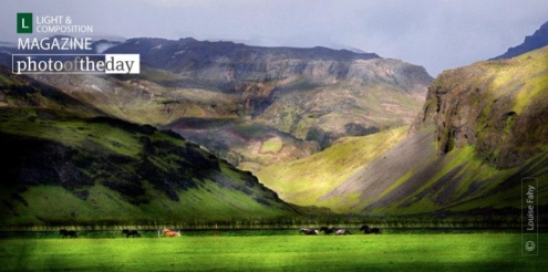 Icelandic Ponies by Louise Fahy - Artistic Photography, Icelandic Ponies, Photo of the Day, Photography Awards, Online Photography Courses