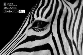 Black and White by Daniele Lembo