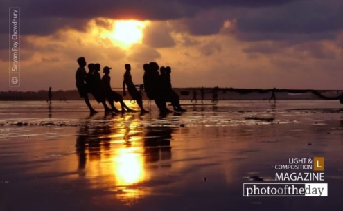 Pulling Together by Satyam Roy Chowdhury