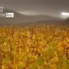 Storm Over Vinyard, by Laria Saunders - Color Photography, Photography Awards, Photo of the Day, Laria Saunders, Art Photography