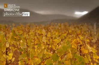 Storm Over Vinyard by Laria Saunders