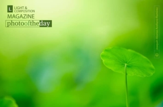 Umbrella by Joaquín Alonso Arellano Ramírez