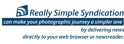 Photographic RSS