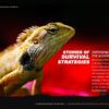 Stories of survival strategies - Wildlife Photography, Nature Photography, Survival Strategies, Photo Book, Illuminating Nature