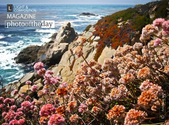 Just off Highway 1 by Anubhav Jain