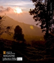 First Light by Sagarika Roy