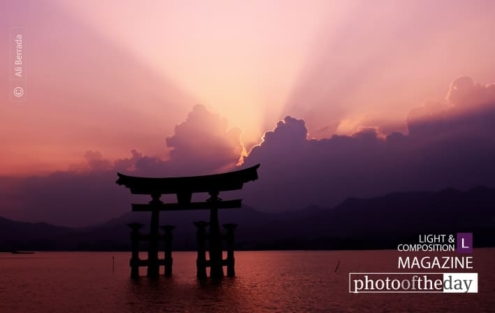 In love with Miyajima by Ali Berrada