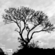 Photo of the day 24102011