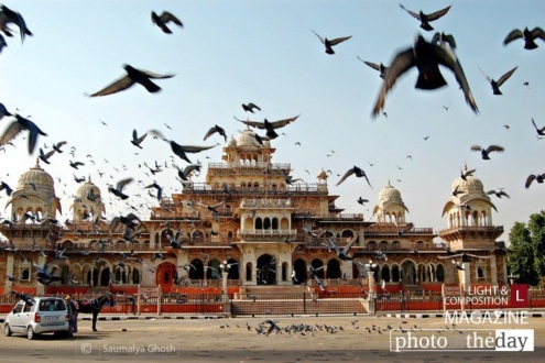 Enjoyment of Freedom, by Saumalya Ghosh - Motion Photography, Photo of the Day, Award Winning Photography, Nature Photography, Photography Awards