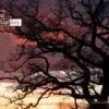 Sunset from My Window by ClÃ¡udia Vieira