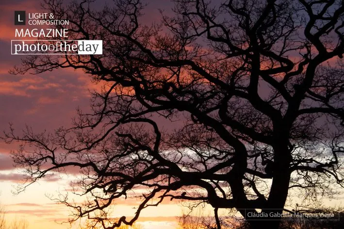 Sunset from My Window by ClÃ¡udia Vieira