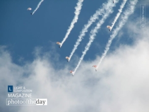 Skydivers by Chris Horner