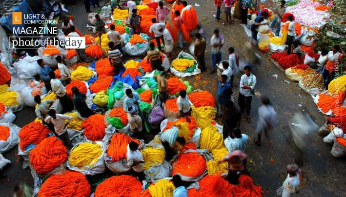Life with Colors by Abhiroop Ghosh
