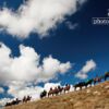 Bogong Horseback Adventure, by Cameron Cope - Adventure Photography, Landscape Photography, Travel Photography, Photo of the Day, Mount Bogong