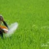 Early Morning Field Work, by Greg Goodman - Photojournalism, Color Photography, Photo of the Day, Award Winning Photography, Greg Goodman