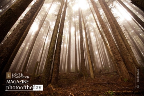 Where Dreamers Escape, by Jen Mitsuko - Nature Photography, Award Winning Photography, Photo of the Day, Photography Awards, Landscape Photography