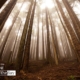 Photo of the day 14122011