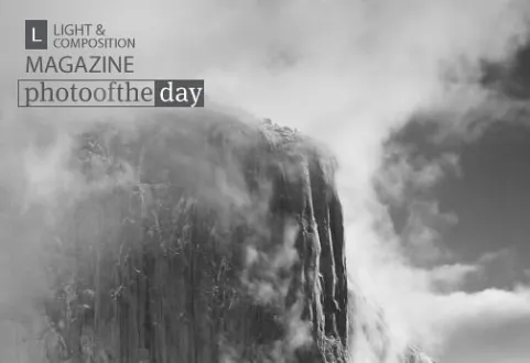 Photo of the Month | 16th Month - Photography Awards, Photo of the Month, Photography Competition, Online Photography, Photojournalism
