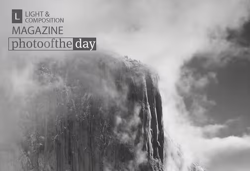 Photo of the Month | 16th Month - Photography Awards, Photo of the Month, Photography Competition, Online Photography, Photojournalism