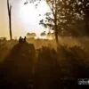 Elephant Safari, by Kamalesh Das - Travel Photography, Award Winning Photography, Elephant Safari, Wildlife Photography, Photo of the Day