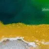 Yellow and Green, by Luca Renoldi - Abstract Photography, Photography Award, Photo of the Day, Luca Renoldi, Award Winning Photography