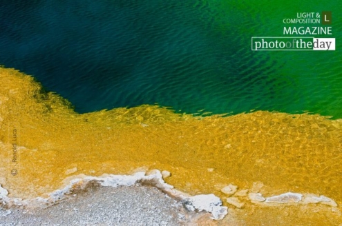 Yellow and Green, by Luca Renoldi - Abstract Photography, Photography Award, Photo of the Day,  Luca Renoldi, Award Winning Photography