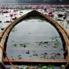 The Living Waters of Bengal by Shahnaz Parvin