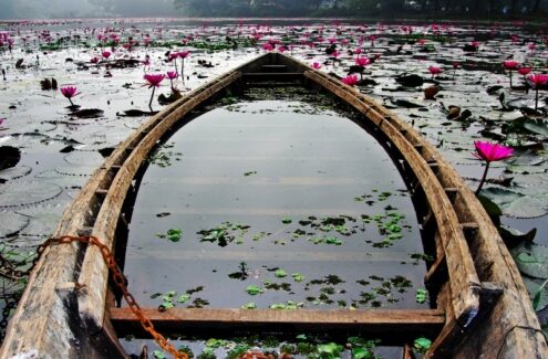 The Living Waters of Bengal by Shahnaz Parvin