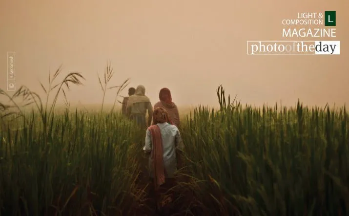 Going to Work by Hirak Ghosh