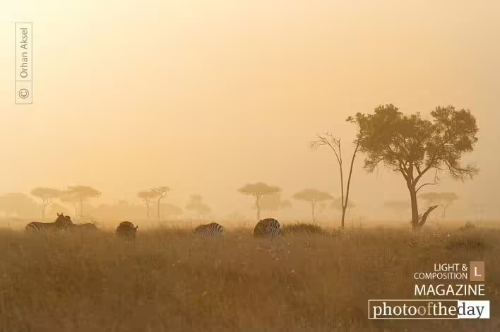 Photo of the Month — January 2012