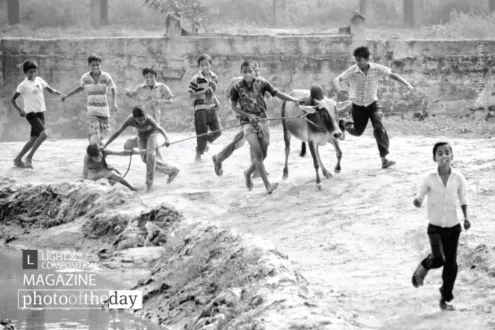 Seasonal Cowboys, by Shahnaz Parvin - Documentary Photography, Photojournalism, Eid, Bangladesh, Photography Awards