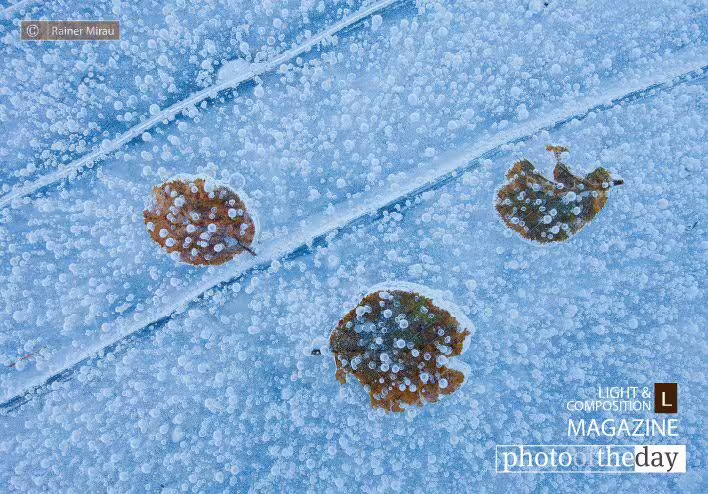 Frozen Leaves, by Rainer Mirau - Abstract Photography, Nature Photography, Ice Photography, Photography Awards, Photo of the Day