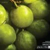 Grape, by Luca Renoldi - Close-up Photography, Photo of the Day, Photography Awards, Art Photography,  Luca Renoldi