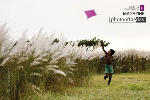 The Kite Runner, by Shahnaz Parvin - Photojournalism, Documentary Photography, Travel Photography, Photo of the Day, Shahnaz Parvin