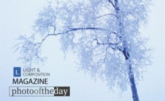 Nature Photography, Photojournalism, Photography Awards, Online Photography Courses, Art Photography – Winter Day, by Ronnie Glover Winter Day, by Ronnie Glover - Nature Photography, Photojournalism, Photography Awards, Online Photography Courses, Art Photography