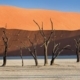 Photo of the day 09022012